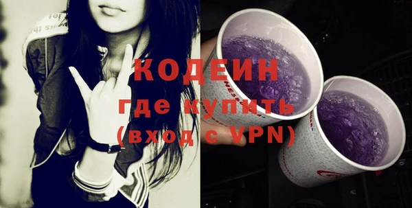 индика Бородино