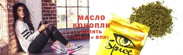 индика Бородино
