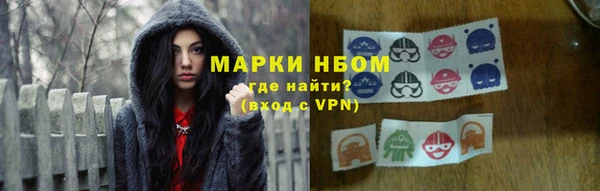 индика Бородино