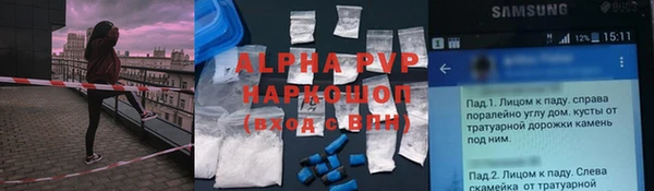 индика Бородино