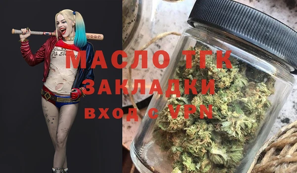 индика Бородино