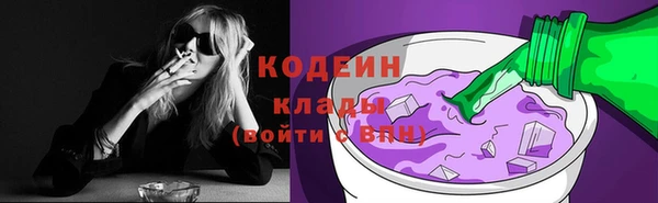 индика Бородино