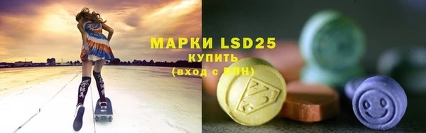 индика Бородино