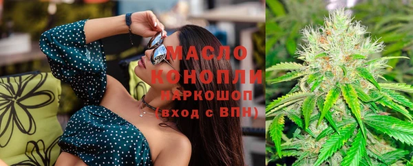 индика Бородино