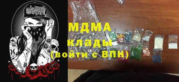 индика Бородино