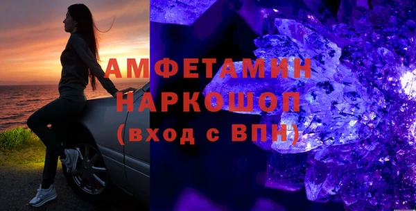 индика Бородино