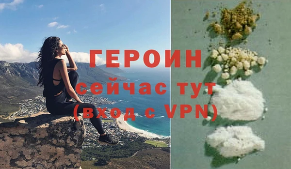индика Бородино