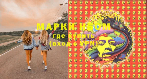 индика Бородино