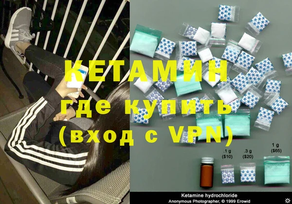 индика Бородино