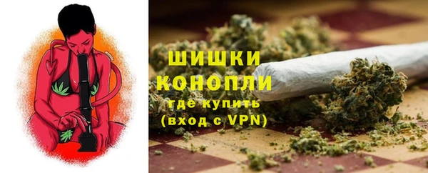 индика Бородино
