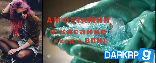 индика Бородино