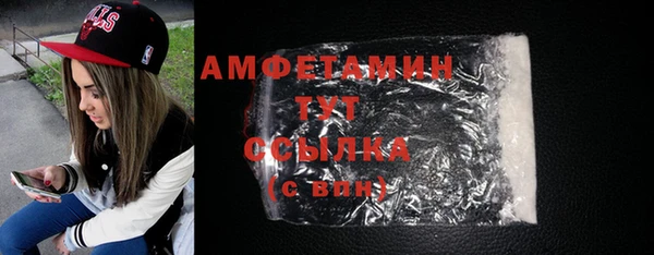 индика Бородино