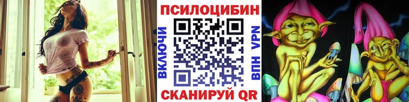 дарк нет как зайти  Сочи  Псилоцибиновые грибы мицелий 